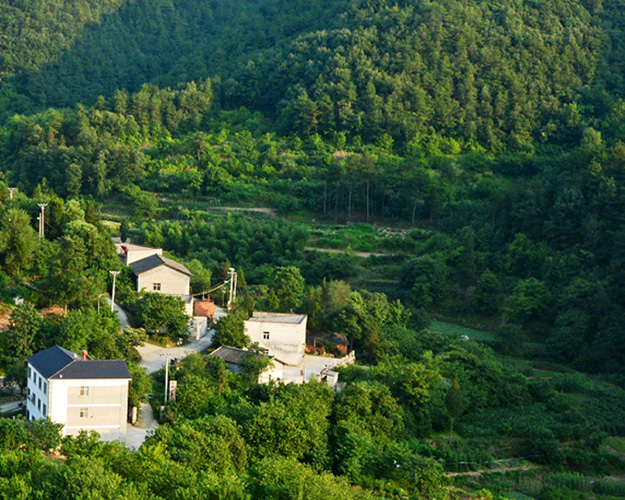 智慧乡村